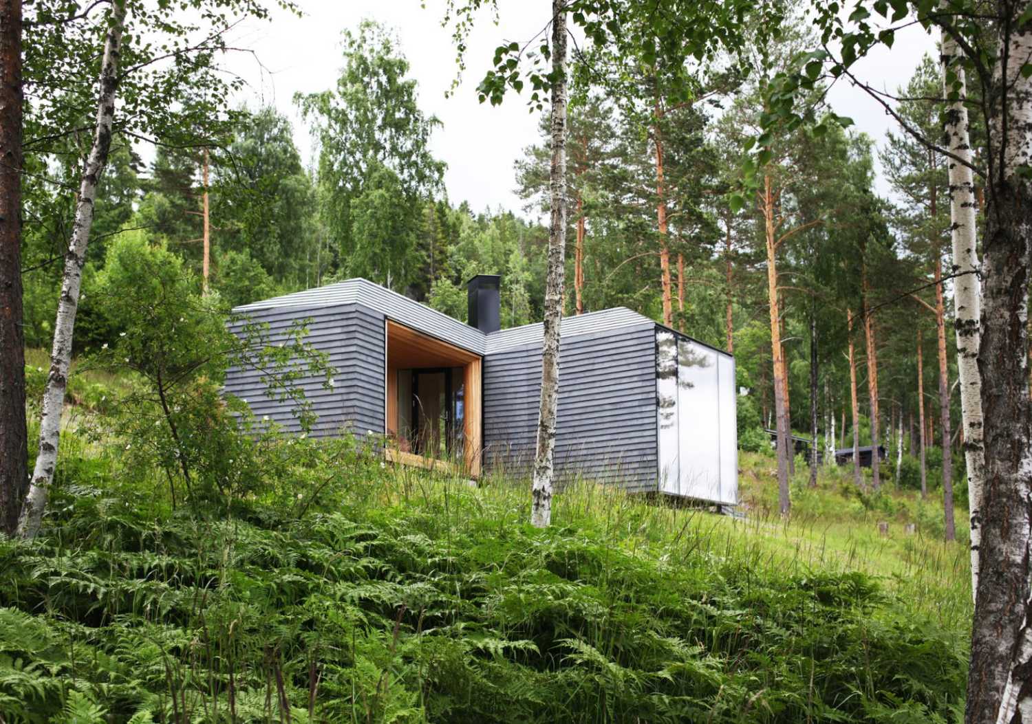 Residenza contemporanea nella foresta