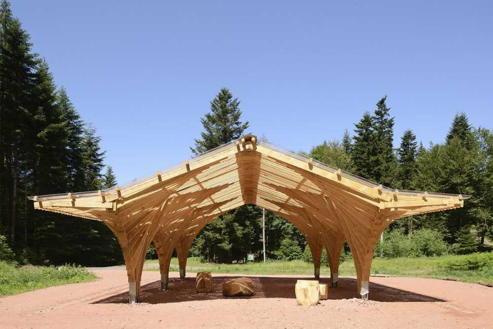 Wooden pavilion in the forest